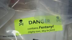 Senadores instan a China a frenar flujo de sustancias químicas utilizadas en la producción de fentanilo