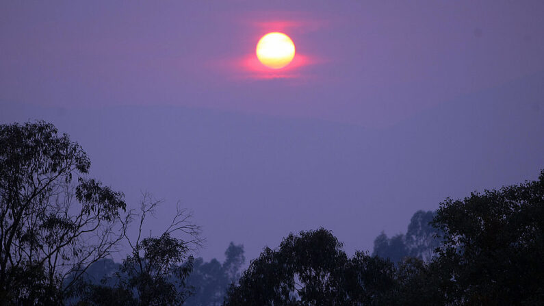 Un sol rojo se eleva sobre los bosques de eucaliptos en los Alpes de Victoria (Australia), el 10 de febrero de 2009. (Torsten Blackwood/AFP vía Getty Images)