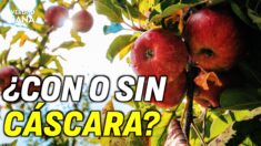 [ESTRENO 14 MAYO] Beneficios y peligros de comer manzanas
