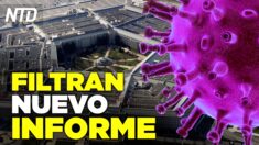 Filtran informe del Pentágono sobre el origen del virus