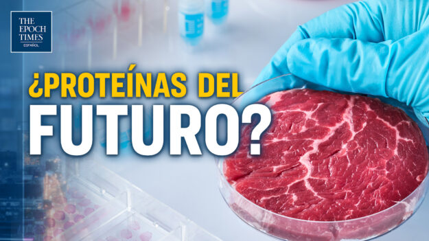 Carne cultivada en laboratorio: ¿Será el futuro de las proteínas?
