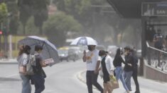 Plan de emergencia suspende clases por actividad volcánica y ceniza en Puebla
