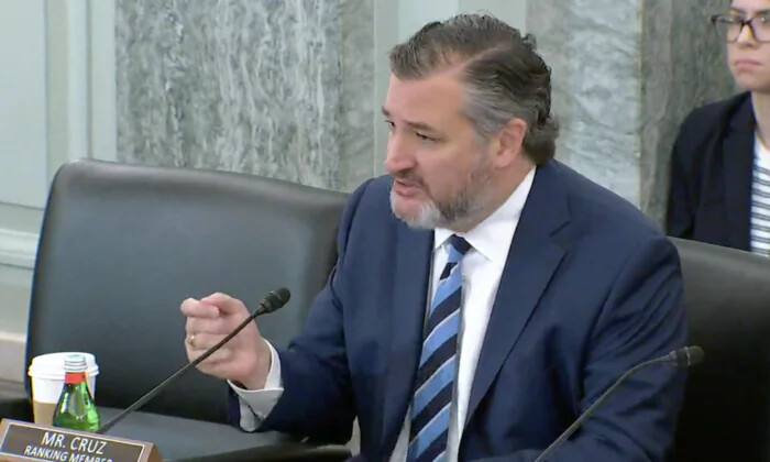 El senador de EE. UU. Ted Cruz (R-Texas) habla durante una audiencia del Comité de Comercio, Ciencia y Transporte en Washington, el 29 de marzo de 2023. (Janice Hisle/The Epoch Times vía captura de pantalla de un video en vivo)