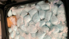 EE.UU. pone en marcha un plan contra el fentanilo adulterado con sedante para animales
