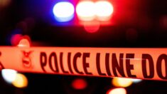 Policía investiga el asesinato de cuatro personas, incluidos dos niños, en Illinois