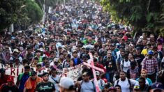 Ministra del Supremo de México califica de alarmante cifra de migrantes que llegan al país