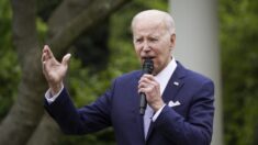 Biden ganará la nominación demócrata sin lugar a dudas, según destacado historiador presidencial