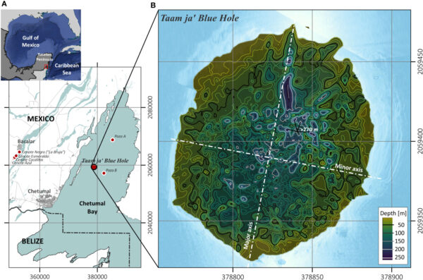 Figura 1: Localización del agujero azul de Taam ja' dentro de la bahía de Chetumal: (A) sumideros o cenotes circundantes a lo largo de la laguna de Bacalar y las localizaciones señaladas para los agujeros azules, poza A y poza B, dentro de la bahía de Chetumal, cerca de la frontera entre México y Belice; y (B) niveles de contorno superpuestos sobre imágenes submarinas del agujero azul obtenidas a partir de imágenes ráster georreferenciadas tomadas mediante grabaciones de sonar de barrido lateral. (© 2023 Alcérreca-Huerta, Álvarez-Legorreta, Carrillo, Flórez-Franco, Reyes-Mendoza y Sánchez-Sánchez/CC BY 4.0)