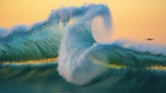 Magníficas imágenes de grandes olas tomadas por un fotógrafo artístico realzan el poder del océano