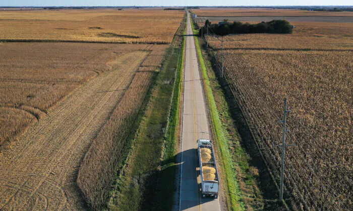 Una vista aérea de un dron muestra un camión transportando soya cosechada en un campo en la granja Bardole & Son's Ltd. en Rippey, Iowa, el 14 de octubre de 2019. (Joe Raedle/Getty Images)