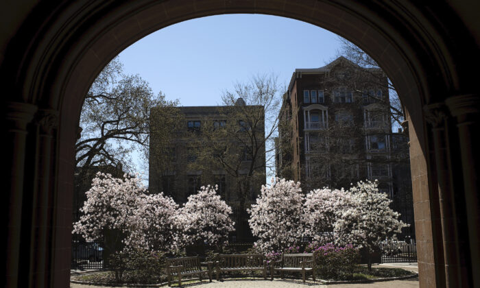 Los árboles florecen en el campus de la Universidad de Yale en New Haven, Connecticut, el 16 de abril de 2008. (Christopher Capozziello/Getty Images)
