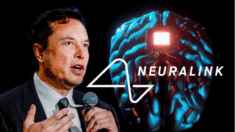 Neuralink, de Elon Musk, recibe la aprobación de la FDA para estudiar implantes cerebrales en humanos