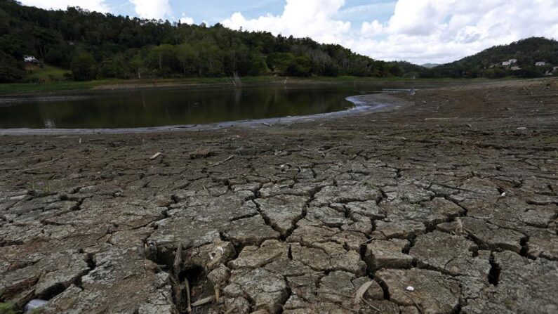 Puerto Rico sufre esta semana una sequía severa por primera vez desde hace un año, según publicó este jueves el Monitor de Sequía de Estados Unidos en su dirección de internet. EFE/Thais Llorca/Archivo