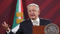 Presidente de México anuncia una reforma para reconocer los derechos de los animales
