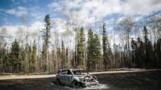 México envía equipo de ayuda a Canadá para combatir incendios forestales
