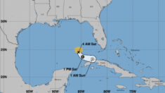 La tormenta tropical Arlene se debilita mientras avanza al sur por el Golfo de México