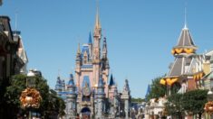 Cifras de verano en Disney World caen debido a que las familias llevan a sus hijos a algún sitio más barato