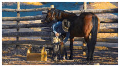 Artista de Oklahoma cabalga con vaqueros para retratar la cultura del Oeste en todo su esplendor