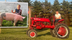 Niño de 10 años compra tractor antiguo de USD 2800 con sus ahorros para ayudar en la granja familiar