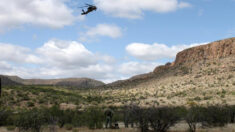 EE.UU. rescata con helicóptero a migrante guatemalteca herida en montañas de Arizona