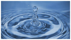 Agua y homeopatía: Descubrimientos científicos de vanguardia