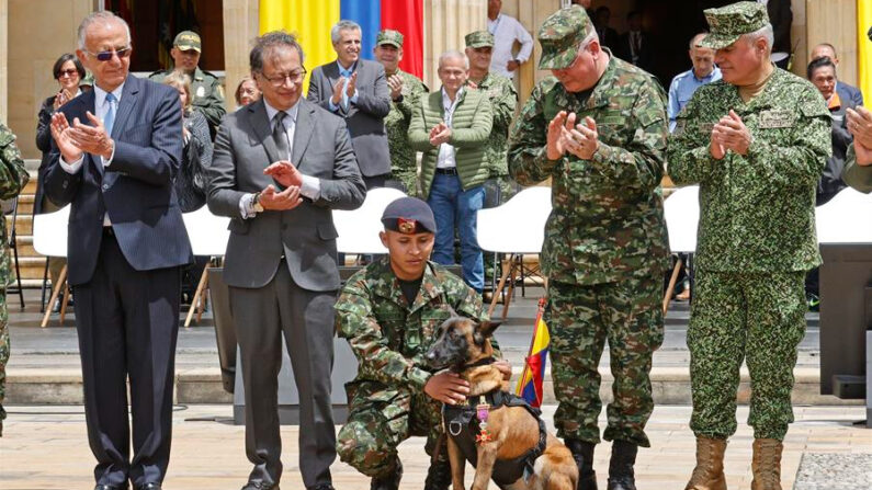 El presidente de Colombia Gustavo Petro (2-i) condecora a la mamá de Wilson, el perro que ayudó al rescate de los niños indígenas que estuvieron perdidos en la selva durante cuarenta días y que durante el operativo se perdió en la selva, en el Palacio de Nariño, en Bogotá (Colombia). EFE/Mauricio Dueñas Castañeda