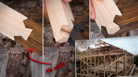 Carpinteros descubren asombrosas uniones de madera en una casa construida hace 95 años sin clavos