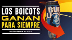 Bud Light nunca volverá a recuperarse del boicot anti-‘justicia social’