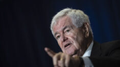 Los demócratas sienten “pasión” por robar elecciones, dice Newt Gingrich