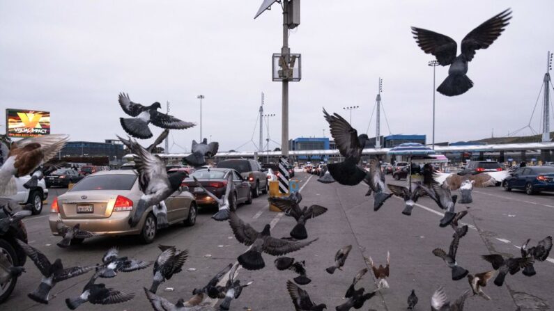 Las palomas vuelan mientras los coches hacen cola para cruzar a los EE.UU. en el Puerto de Entrada de San Ysidro en Tijuana, estado de Baja California, México, el 12 de mayo de 2023. (Guillermo Arias/AFP vía Getty Images)