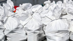 Países Bajos localiza 3500 kilos de cocaína en un cargamento de bananos de Ecuador