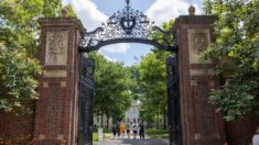 Universidades dicen que veto a la acción afirmativa no les impedirá buscar resultados raciales