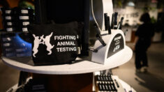 Canadá prohíbe el uso de animales para probar productos cosméticos