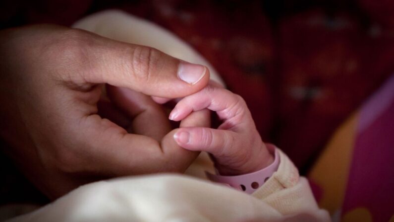 Imagen de archivo de una madre que sostiene la mano de su hijo recién nacido. (Loic Venance/AFP vía Getty Images)
