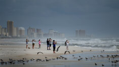 Sheriff de Florida emite advertencia sobre las corrientes marinas tras registrarse varias muertes