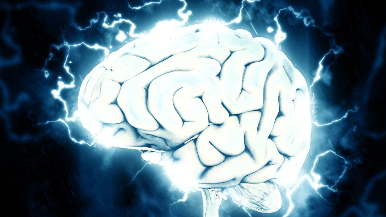 Ahora se cree que aumentar las sinapsis y su densidad puede prevenir el deterioro cognitivo, y el L-treonato de magnesio puede ayudar. (Pixabay/ Pete Linforth)
