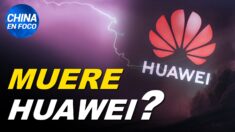 ¿Huawei llega a su fin?: La Unión Europea hace un llamado para echar a la empresa luego de EE.UU.