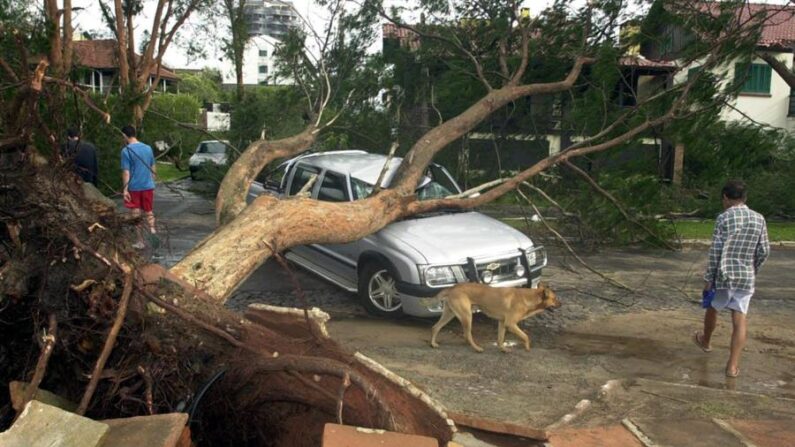 Fotografía de archivo en la que se registraron los estragos causados por el paso de un ciclón extratropical en la región de Santa Catarina (litoral sur de Brasil). EFE/Paulo Franken