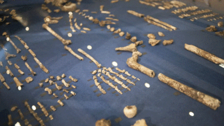 Extintos homínidos enterraban a sus muertos y tallaban símbolos 100,000 años antes que el homo sapiens