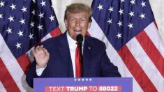 Jueza rechaza intento de mantener a Trump fuera de la papeleta electoral de Florida