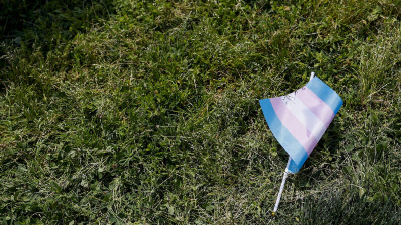 Una bandera transgénero posada sobre la hierba en el exterior del edificio del Capitolio de EE. UU. en Washington, el 22 de mayo de 2023. (Anna Moneymaker/Getty Images)
