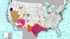 Una agencia federal emite alertas meteorológicas para millones de personas en Texas y Luisiana