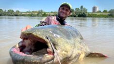 Pescador italiano resiste un enorme tirón del sedal y pesca un siluro récord de más de 9 pies