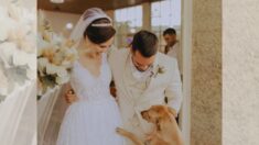 Perrito callejero se gana el corazón de unos novios en su boda: ¿Quieren saber cómo se infiltró?
