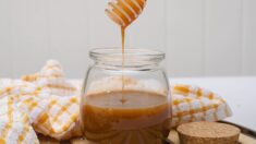 Miel de Manuka: La miel con más beneficios antibacterianos y antiinflamatorios