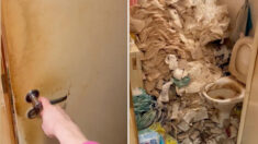 Mujer limpia baño sucio de una abuela que no se había duchado en 3 años, ¡mire la transformación!