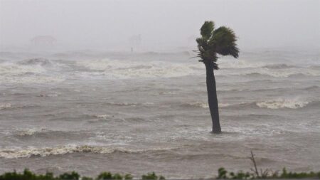 La depresión subtropical Don puede hacerse tropical en un par de días