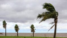El paso de un ciclón causa daños y deja sin luz a miles de personas en el sur de Brasil