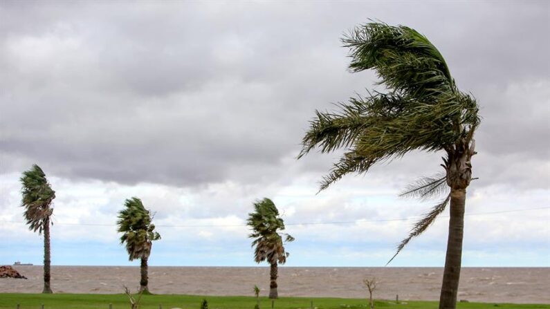 Fotografía de archivo de los vientos provocados por un ciclón. EFE/Sarah Yáñez-Richards
