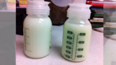 Estudio: 25 tipos de retardantes de llama nocivos en la leche materna de EE.UU.